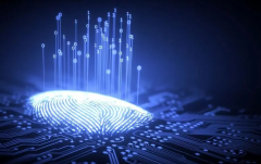 Хотите использовать прокси IP без ограничений? Bit Fingerprint Browser необходим
